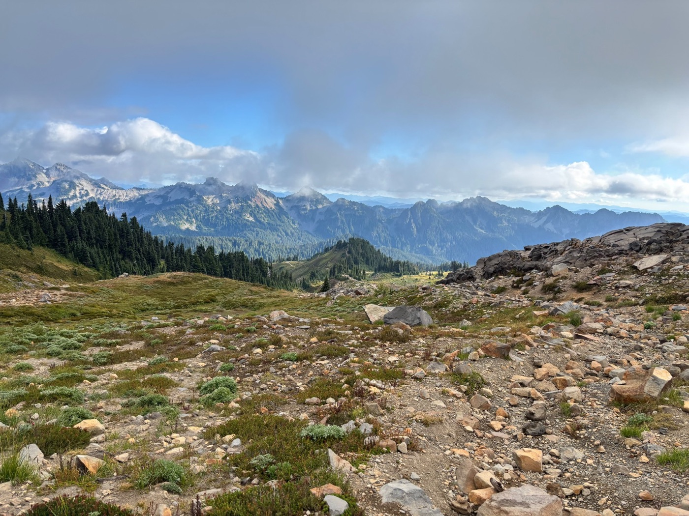 Alpine meadow