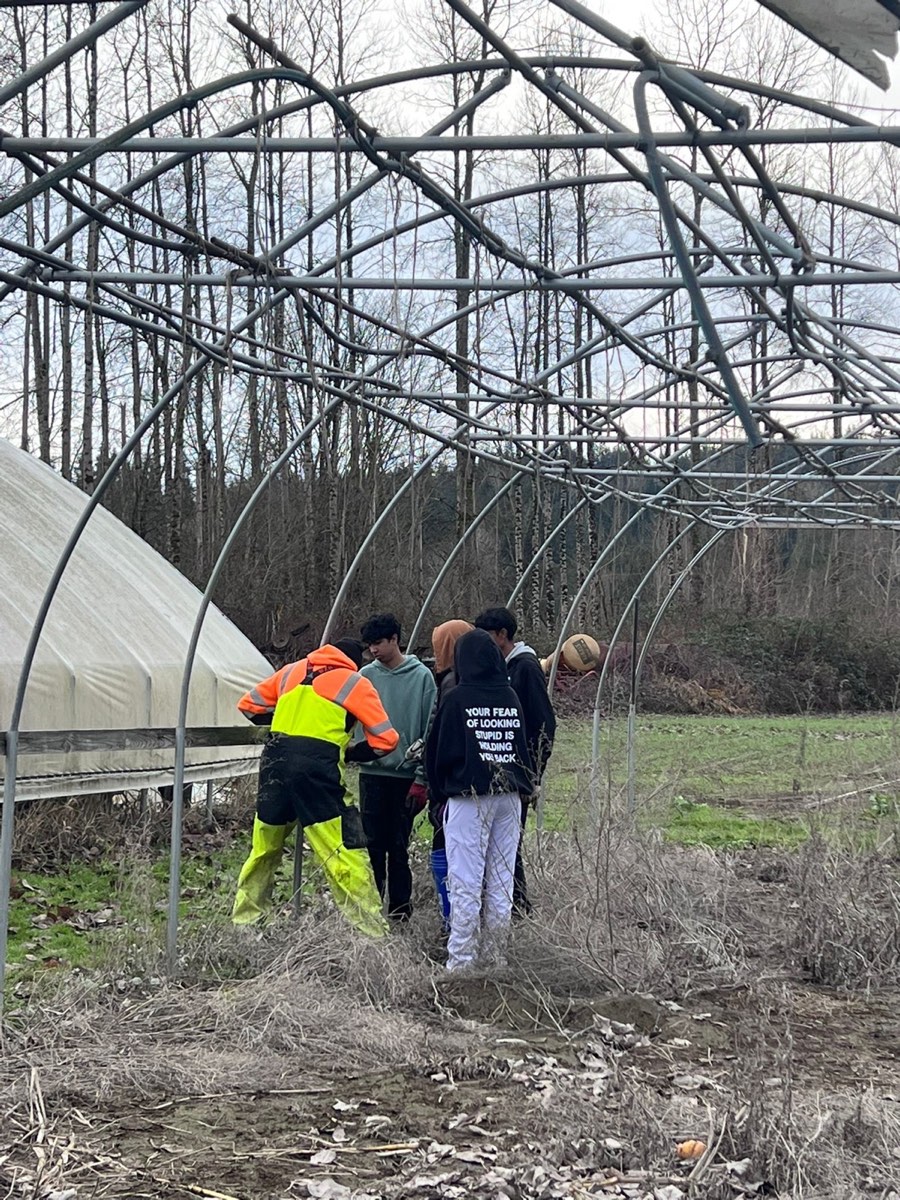 Taking down the old greenhouse frame