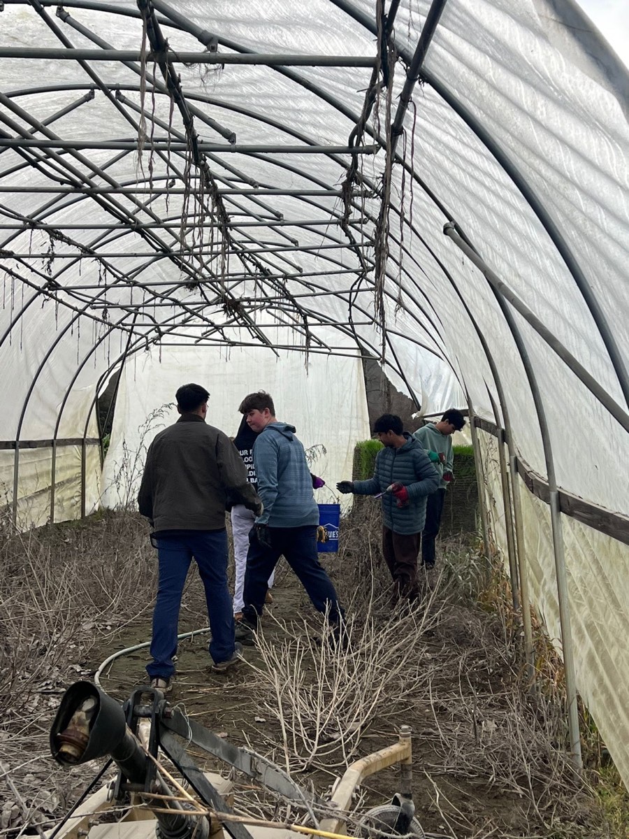 Inside the greenhouse